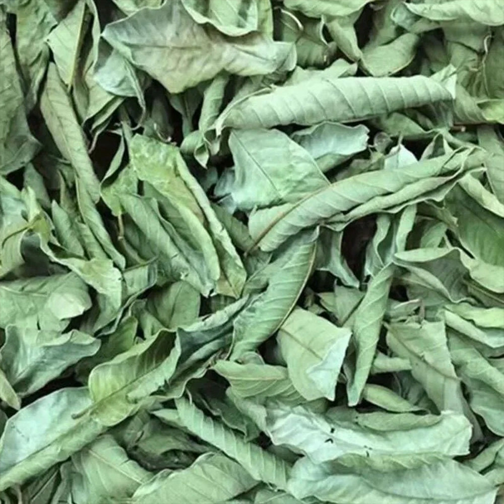 Guava tea