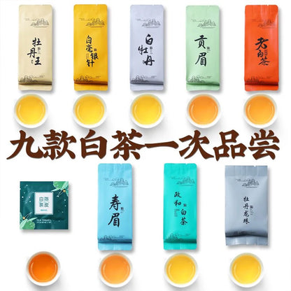 Tasting white tea